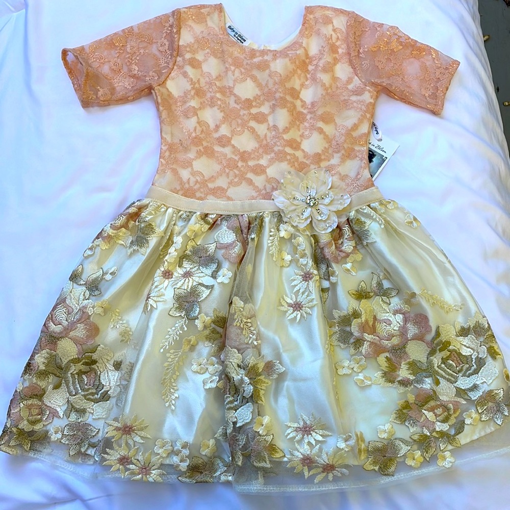 Babys in bloom by Angelique party dress. Size 4t. Floral tulle & lace.